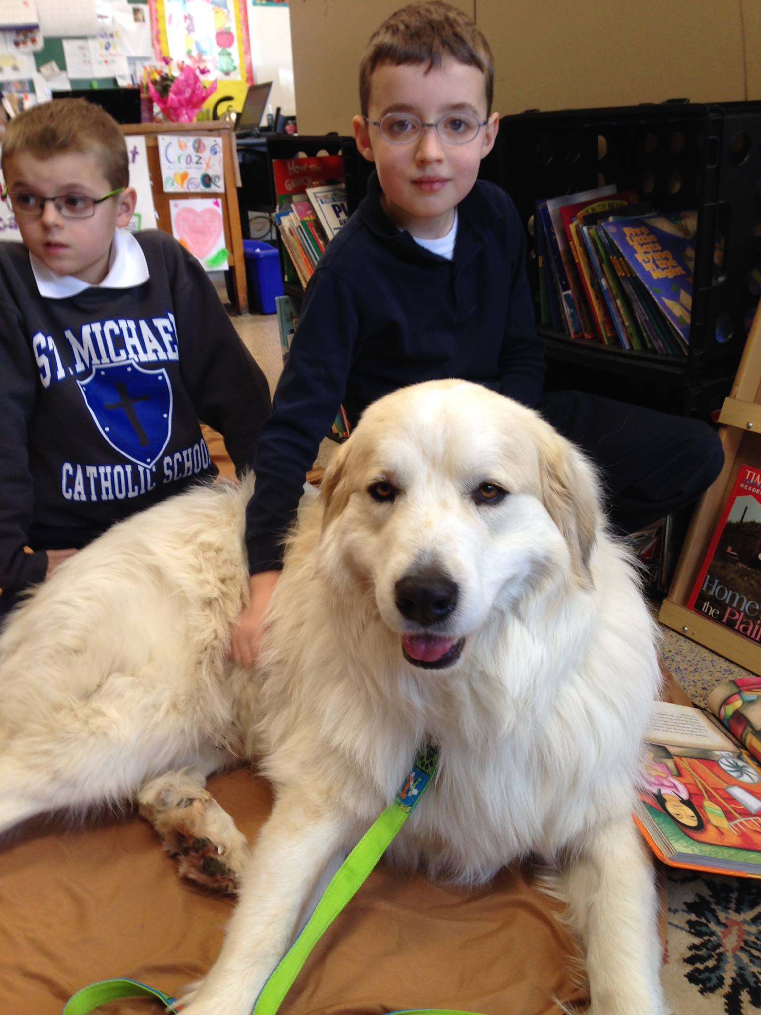 Student Dog Reading - About Page 3 2